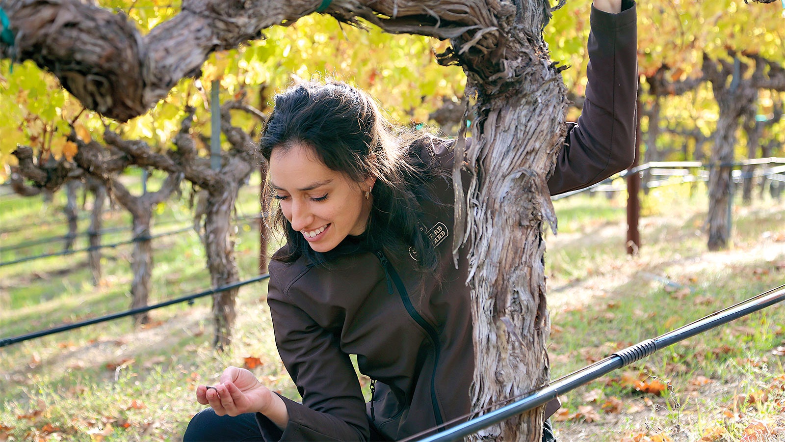 Justine Labbé in the Cathiard Family Estate's Mayacamas vineyard.